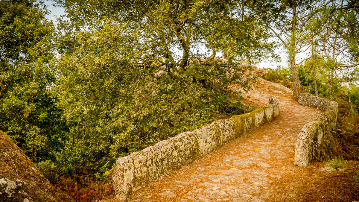 Naturaleza