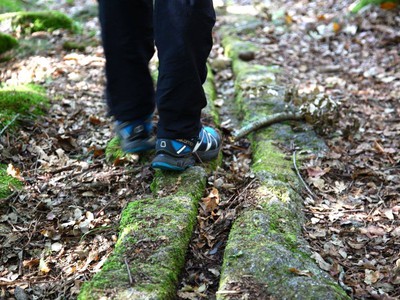 R15 · Trail Forestal