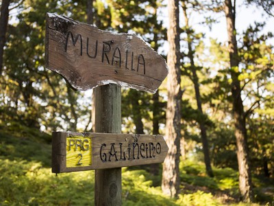 R27 · A Muralla